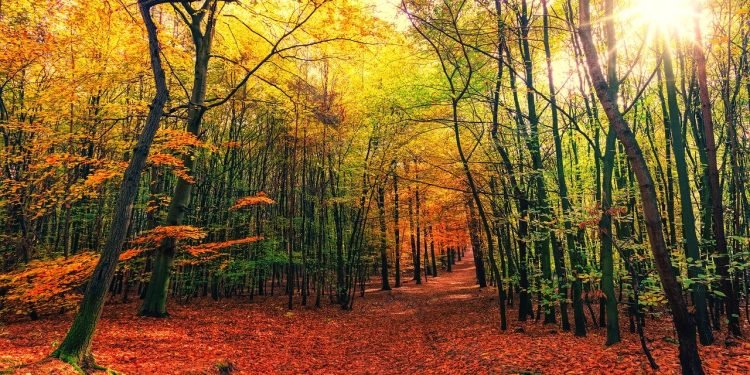 Mutlulukla ilgili yanlış düşünce ve inançlar