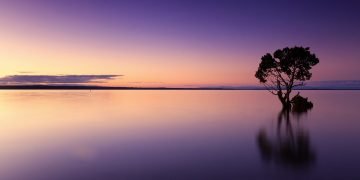 Hayatın anlamı nedir?